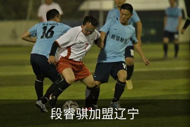 段睿骐加盟辽宁